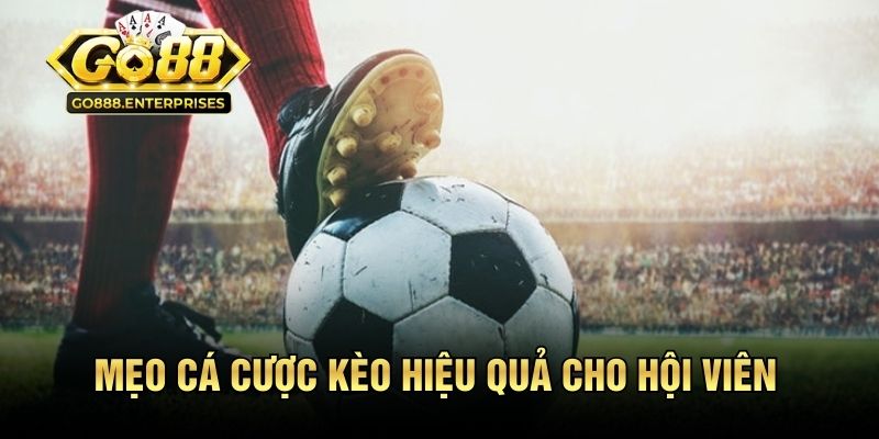 Mẹo cá cược kèo hiệu quả cho hội viên